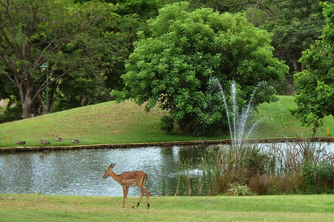 Kruger Park Lodge Unit No. 524 Hazyview Εξωτερικό φωτογραφία